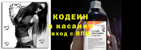 ГАЛЛЮЦИНОГЕННЫЕ ГРИБЫ Корсаков