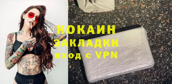 ГАЛЛЮЦИНОГЕННЫЕ ГРИБЫ Корсаков
