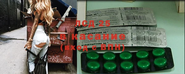 ГАЛЛЮЦИНОГЕННЫЕ ГРИБЫ Корсаков