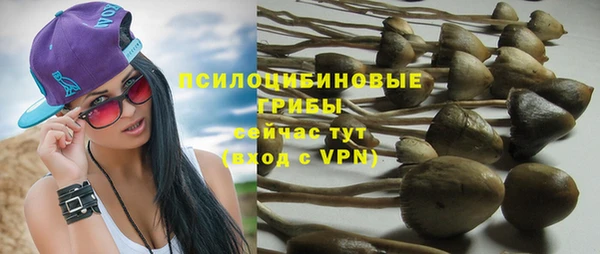 эйфоретик Кинешма