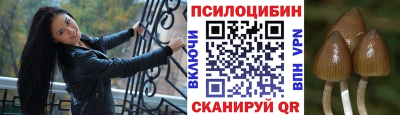 Галлюциногенные грибы GOLDEN TEACHER Мураши